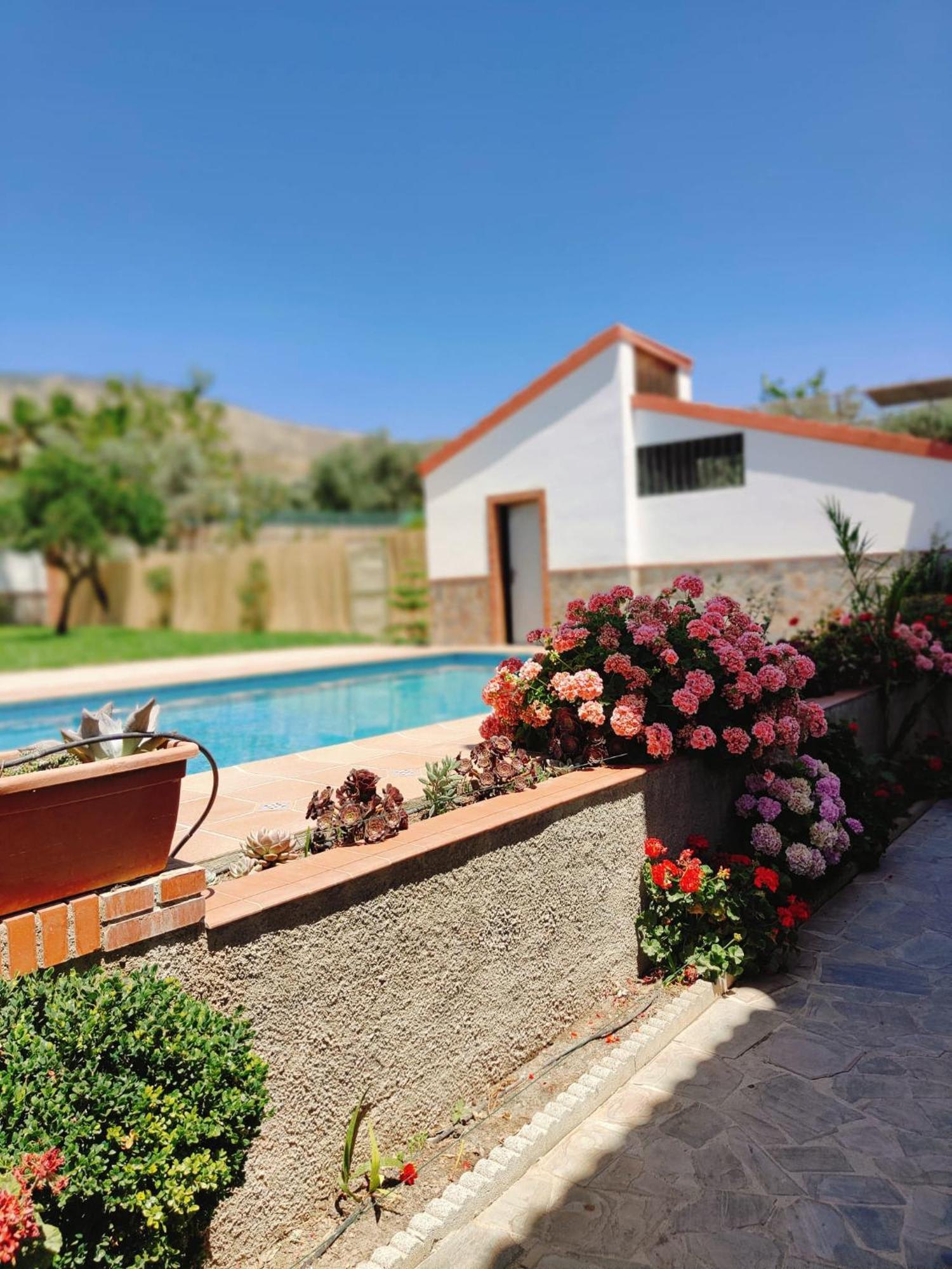 Casa Rural Las Cuatro Flores أورخيفا المظهر الخارجي الصورة